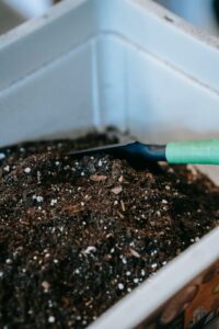 Cómo empezar a hacer compost en casa: guía para principiantes
